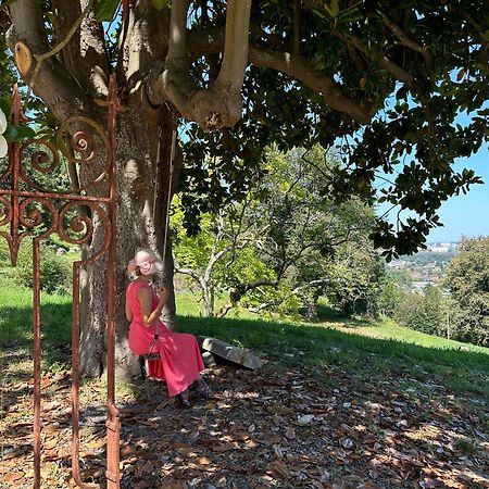 Domaine De La Tisnere Acomodação com café da manhã Gelos Exterior foto