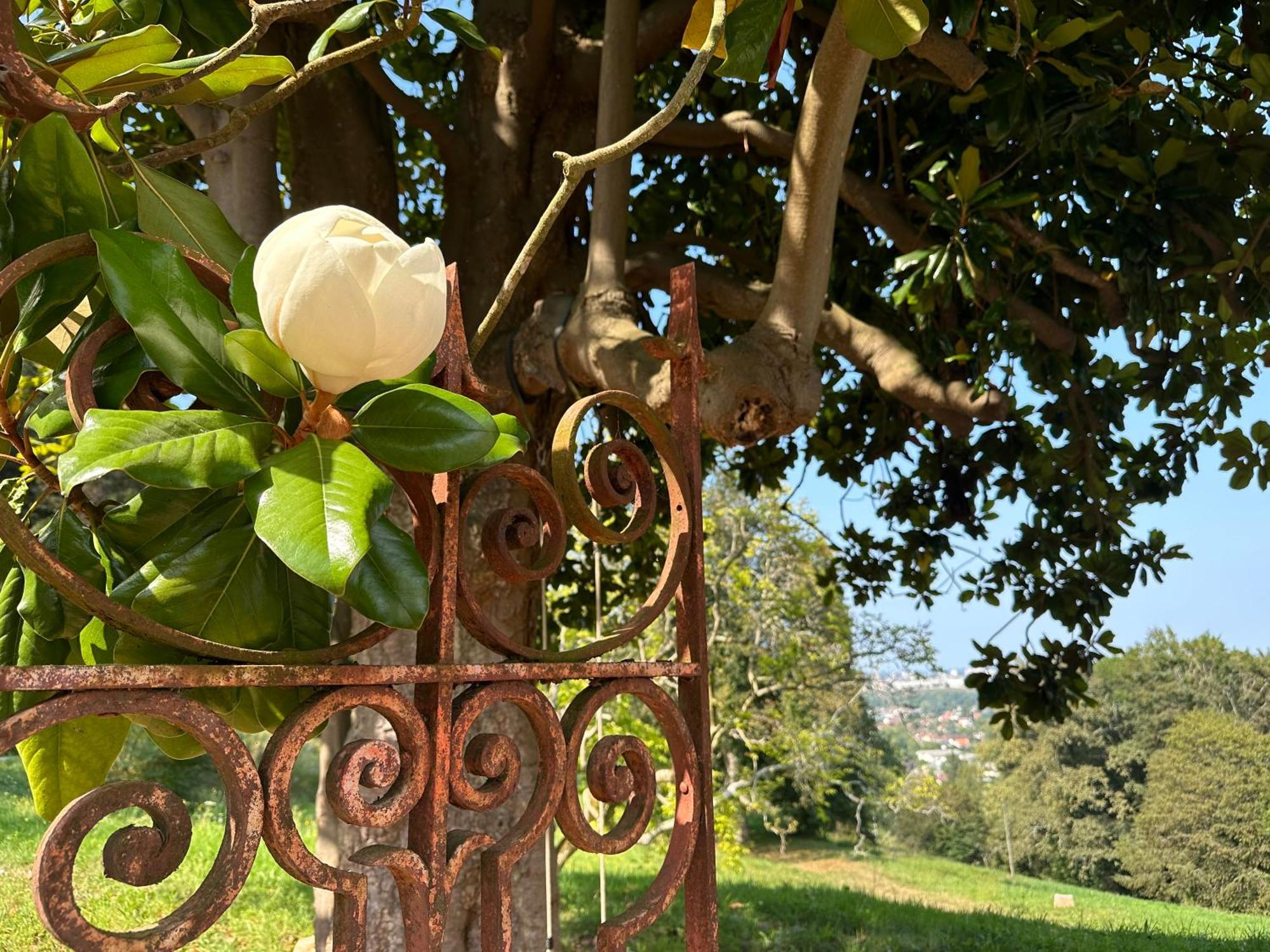 Domaine De La Tisnere Acomodação com café da manhã Gelos Exterior foto